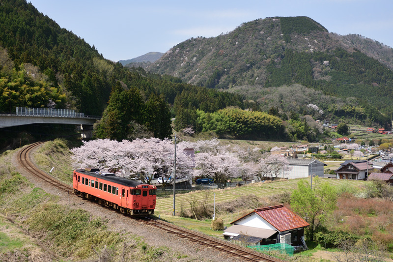 r2025.04.08-d6189.jpg