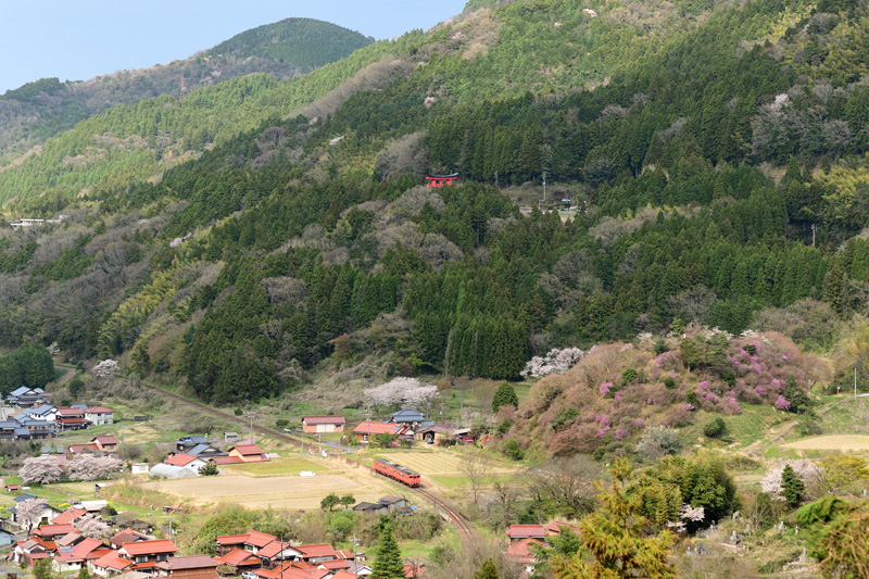 r2025.04.08-d6237.jpg