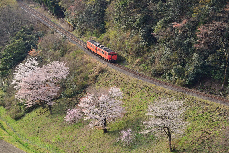 r2025.04.08-da041.jpg