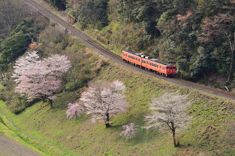 r2025.04.08-da060.jpg