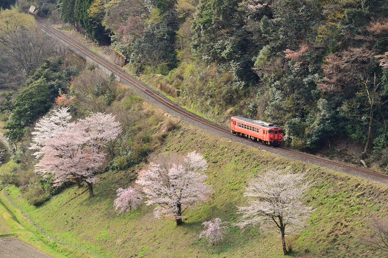 r2025.04.08-da140.jpg
