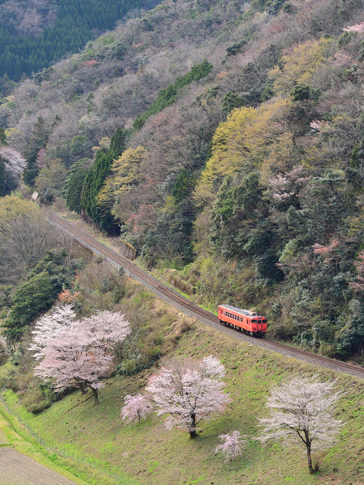 r2025.04.08-da208.jpg