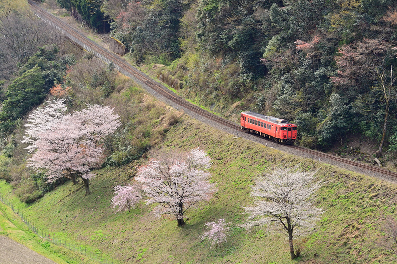 r2025.04.08-da333.jpg