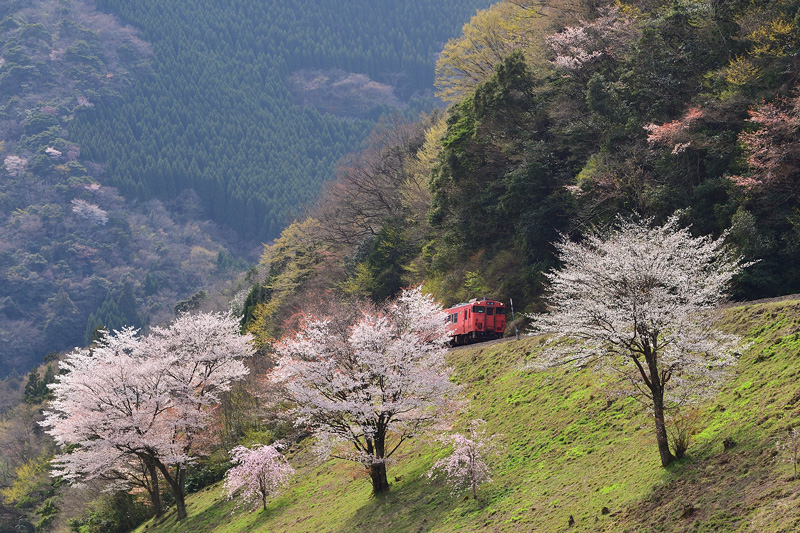 r2025.04.08-da380.jpg