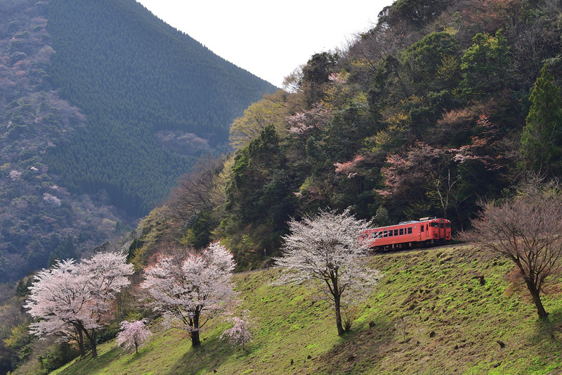 r2025.04.08-da396.jpg