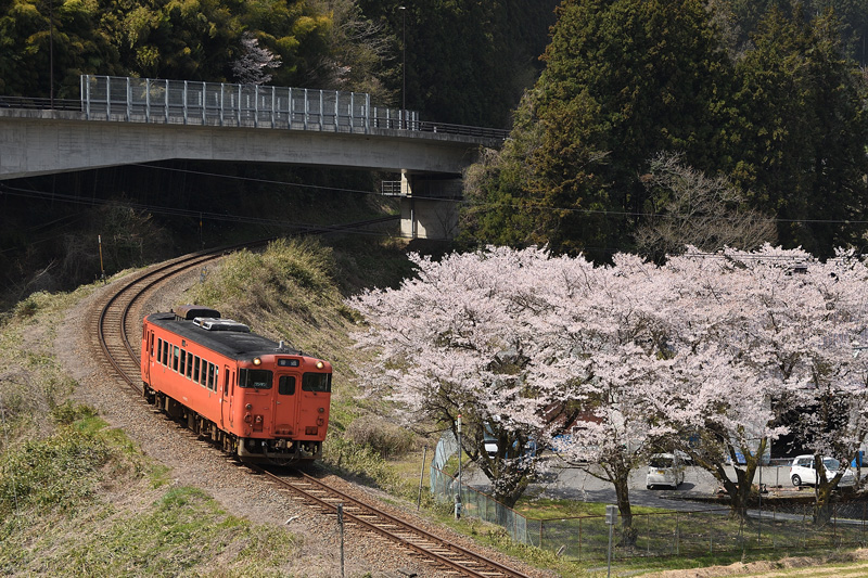 r2025.04.08-da423.jpg