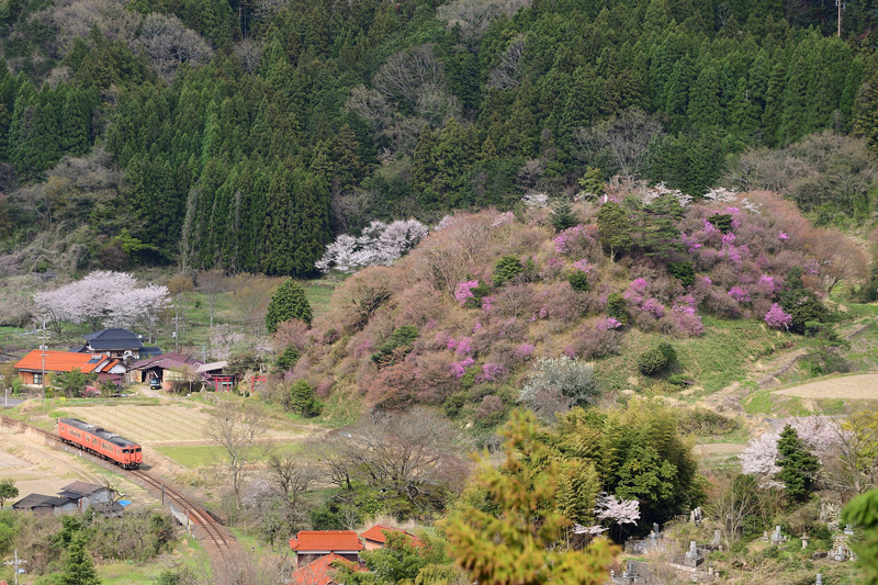 r2025.04.08-da516.jpg