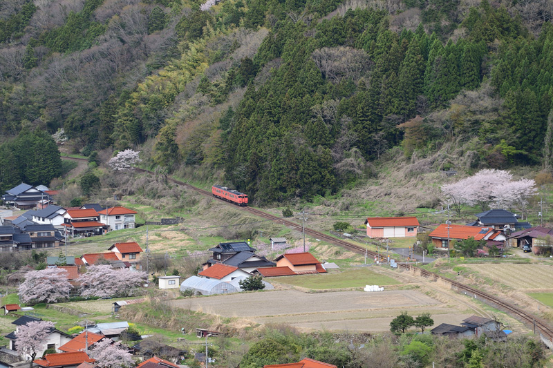 r2025.04.08-da546.jpg