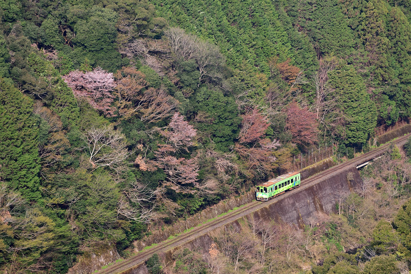 r2025.04.09-da093.jpg