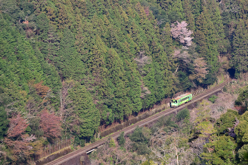 r2025.04.09-da113.jpg