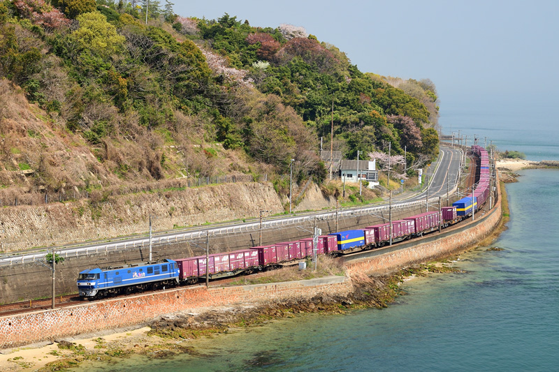 r2025.04.09-da289.jpg