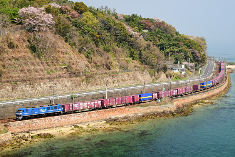 r2025.04.09-da302.jpg