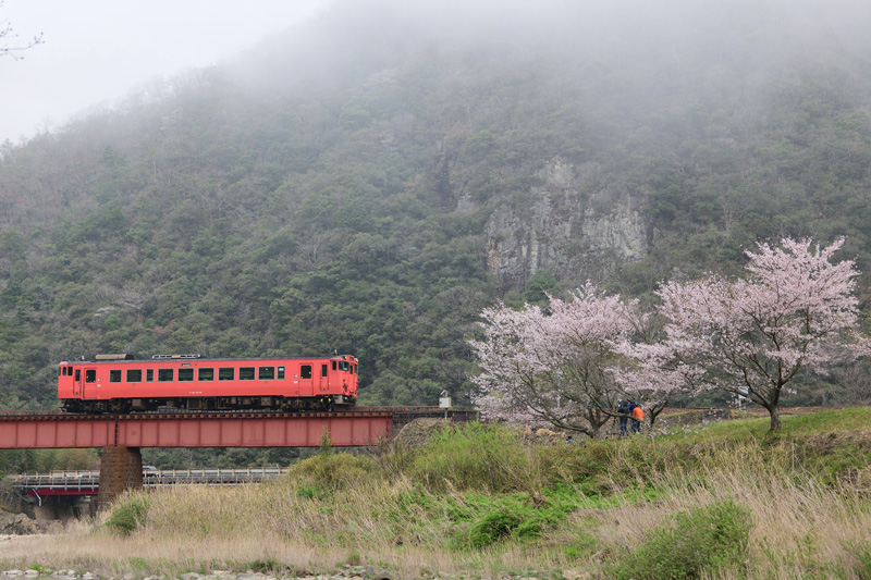 r2025.04.12-d6003.jpg