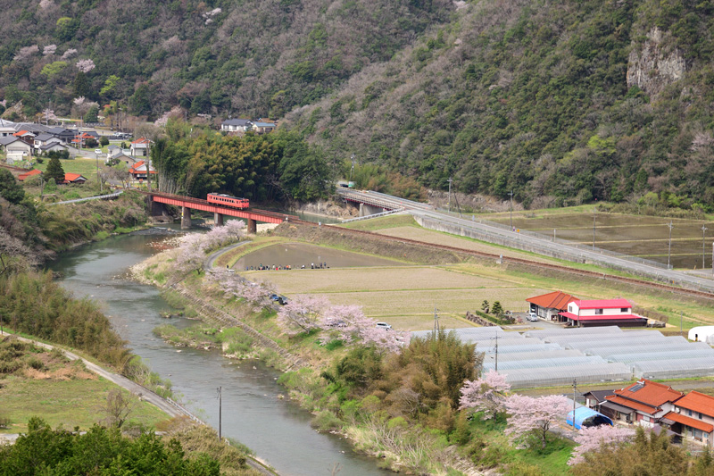 r2025.04.12-d6080.jpg