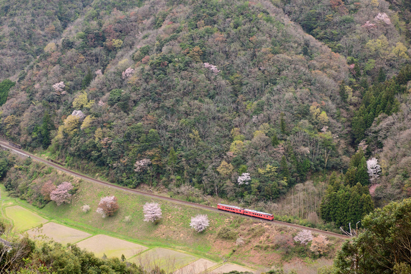 r2025.04.12-d6216.jpg