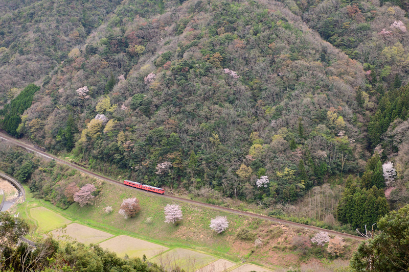 r2025.04.12-d6227.jpg