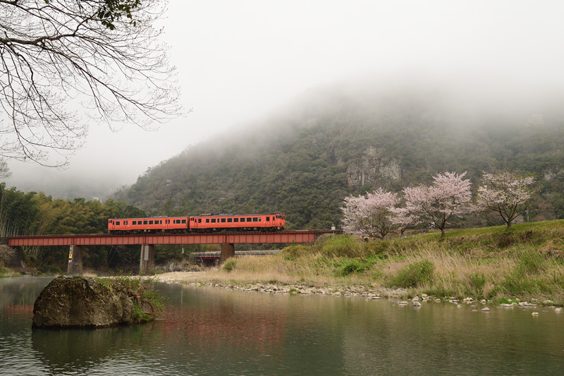 r2025.04.12-da015.jpg