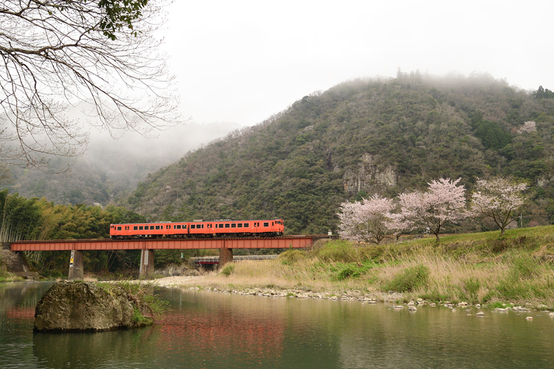 r2025.04.12-da068.jpg