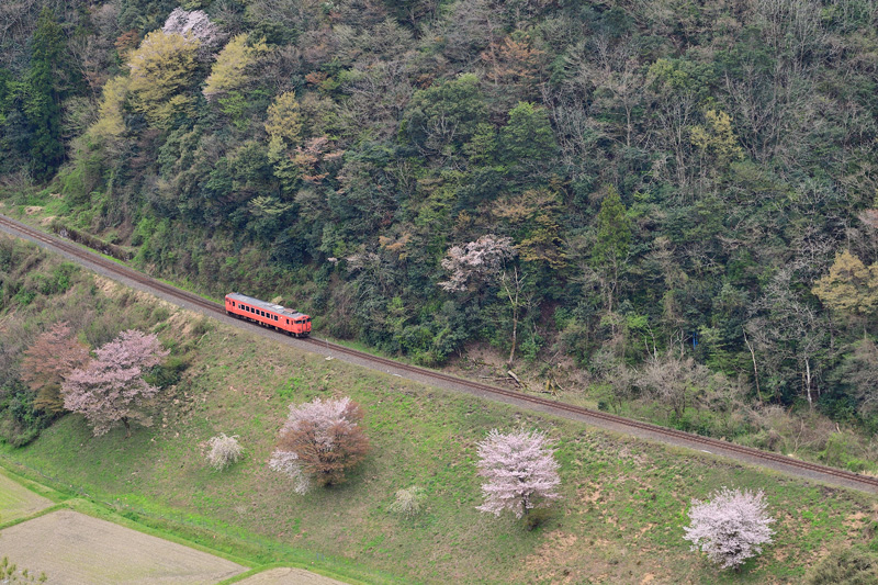 r2025.04.12-da1056.jpg