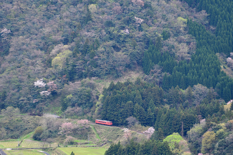 r2025.04.12-da1095.jpg