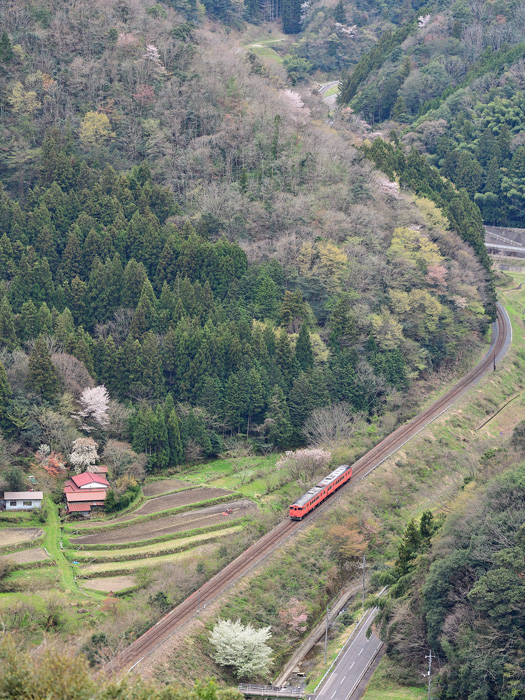 r2025.04.12-da478.jpg