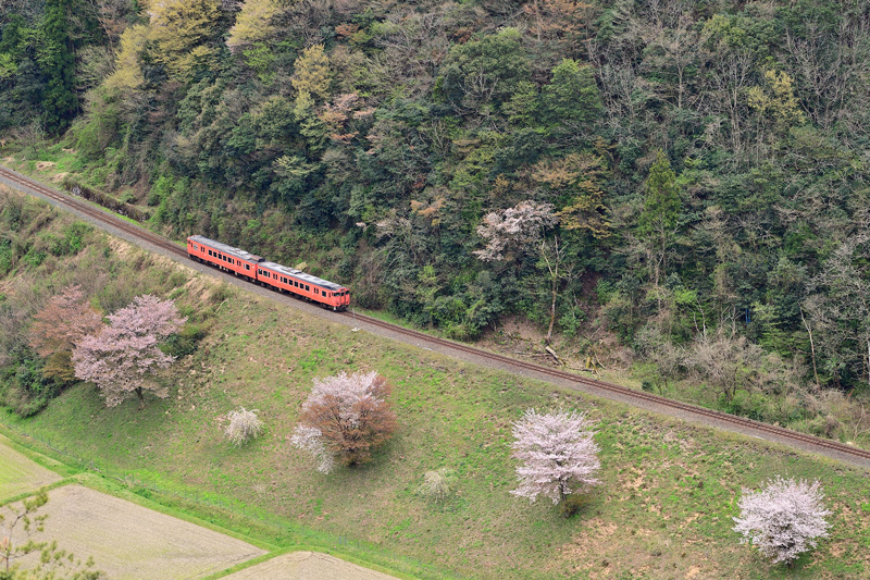 r2025.04.12-da514.jpg