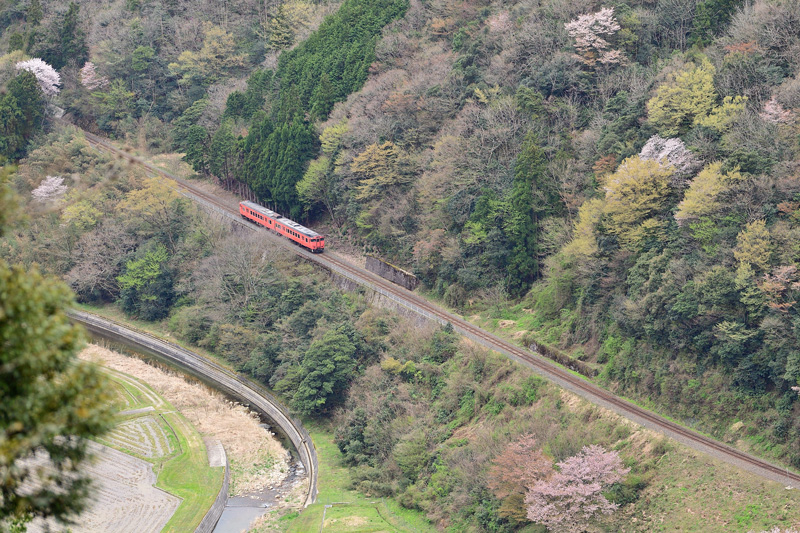 r2025.04.12-da542.jpg