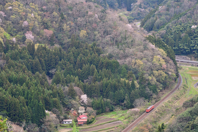 r2025.04.12-da934.jpg