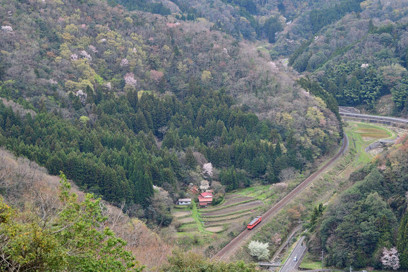 r2025.04.12-da976.jpg
