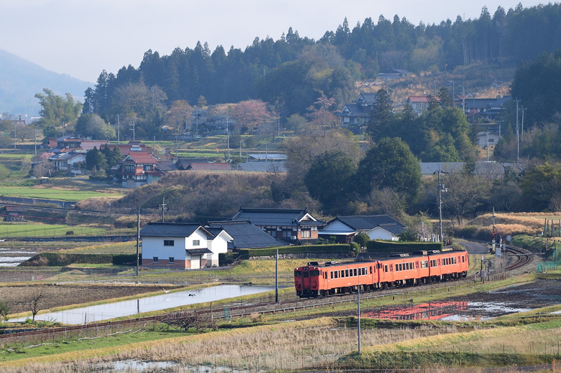 r2025.04.16-da017.jpg