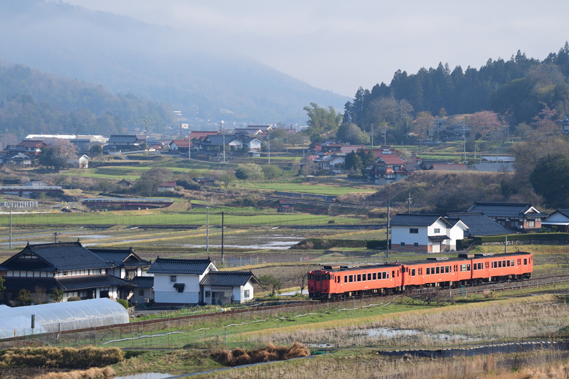 r2025.04.16-da033.jpg
