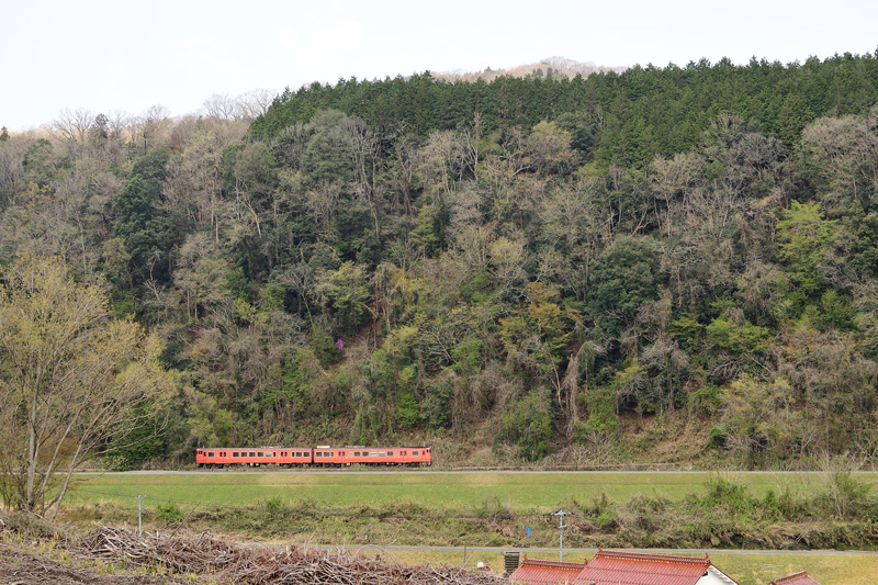 r2025.04.16-da056.jpg