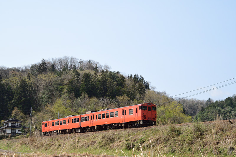 r2025.04.16-da098.jpg
