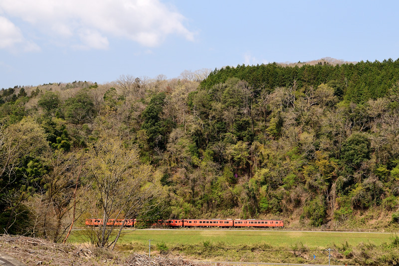 r2025.04.16-da114.jpg