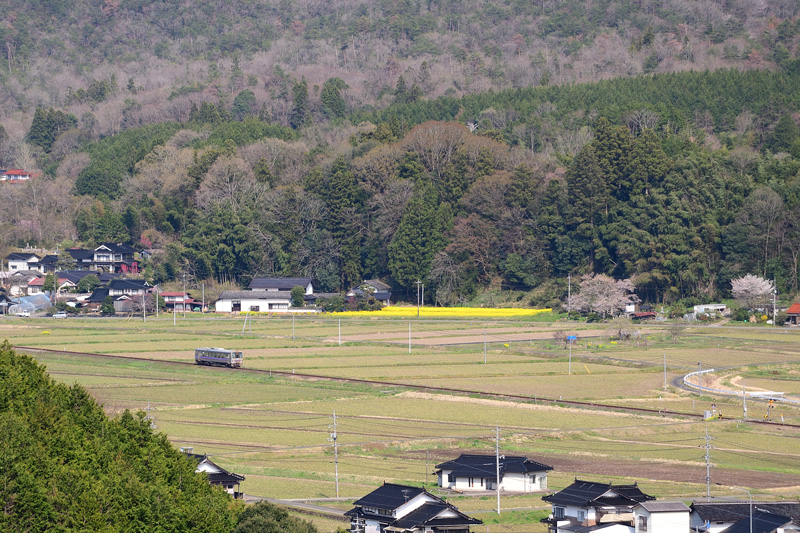 r2025.04.16-da139.jpg