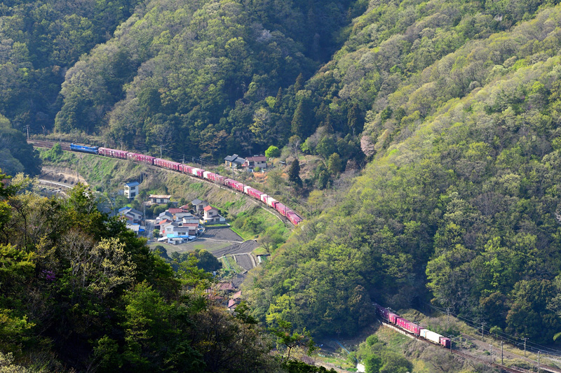 r2025.04.18-da035.jpg