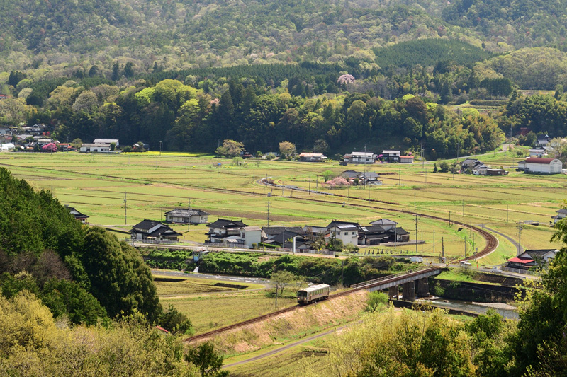 r2025.04.21-d6085a.jpg