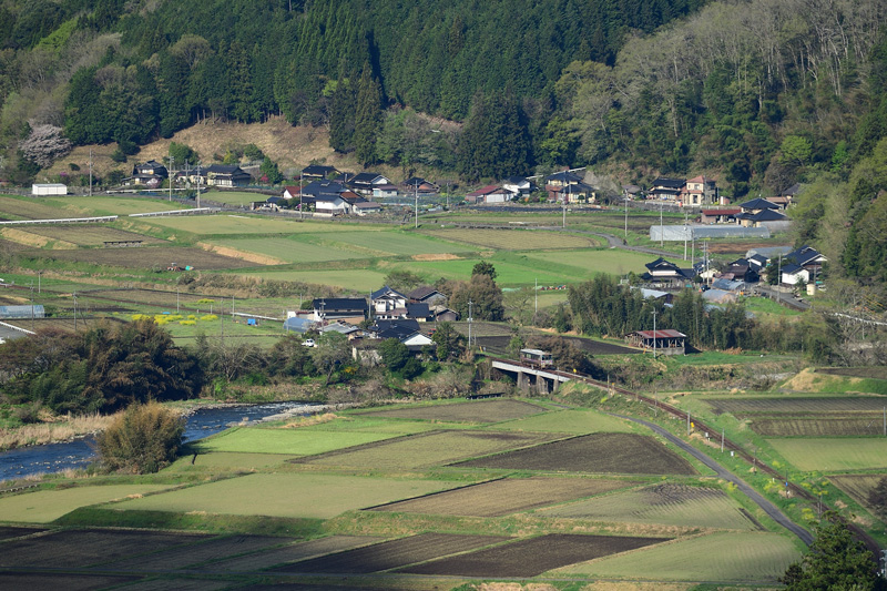 r2025.04.21-da008.jpg