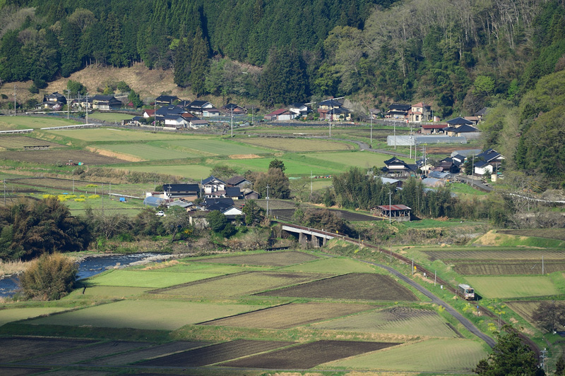 r2025.04.21-da030.jpg