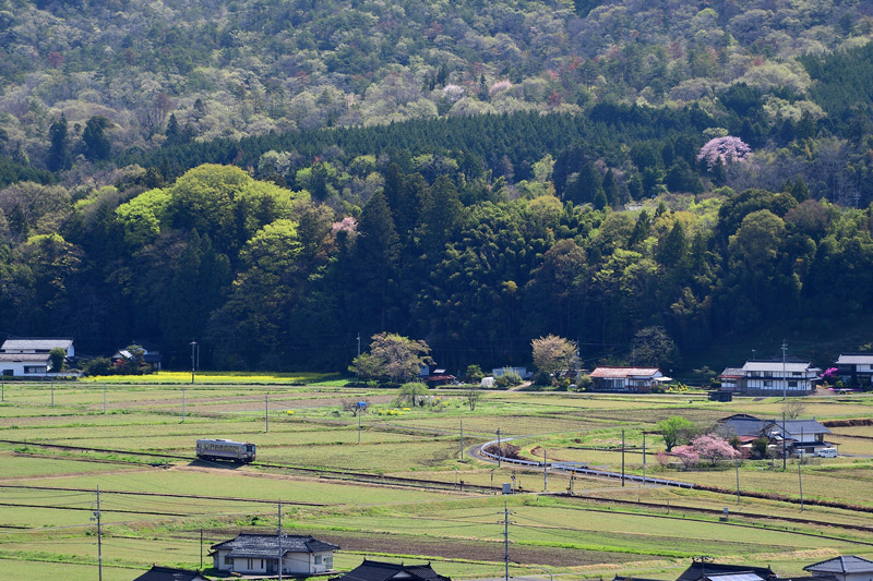 r2025.04.21-da105.jpg