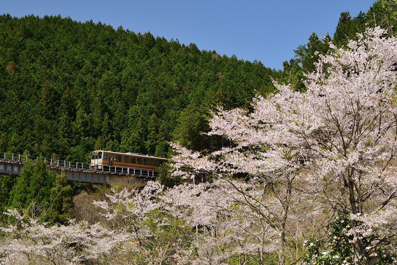 r2025.04.21-da205.jpg