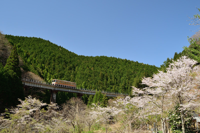 r2025.04.21-da232.jpg