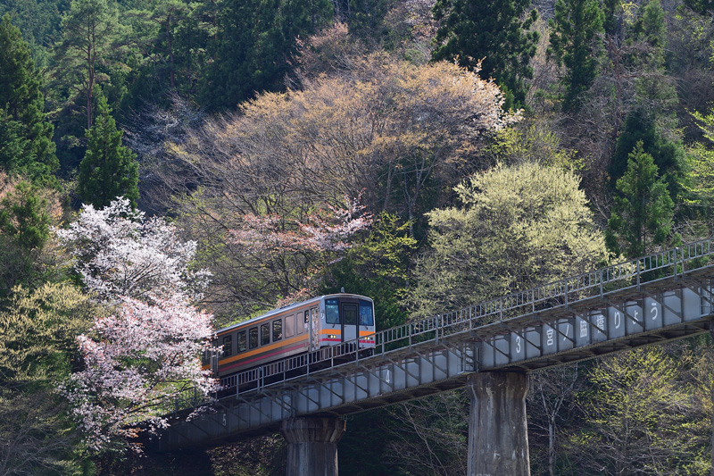 r2025.04.21-da251.jpg