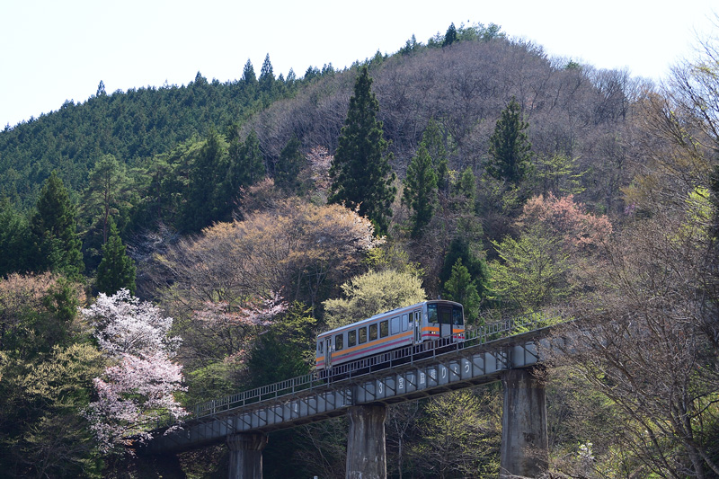 r2025.04.21-da268.jpg