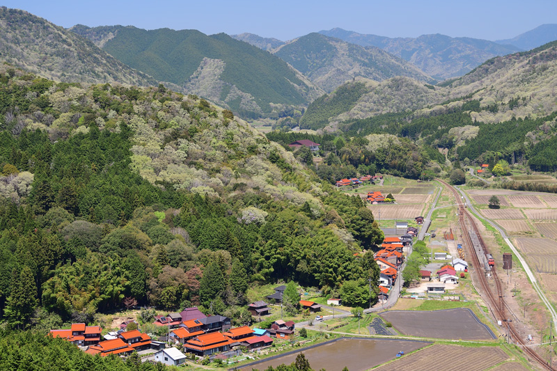 r2025.04.26-da126.jpg