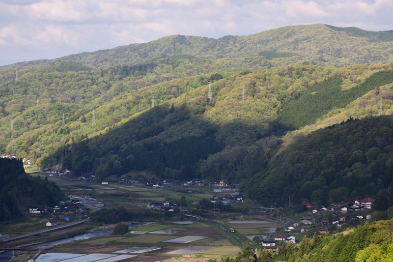r2025.04.29-d602.jpg