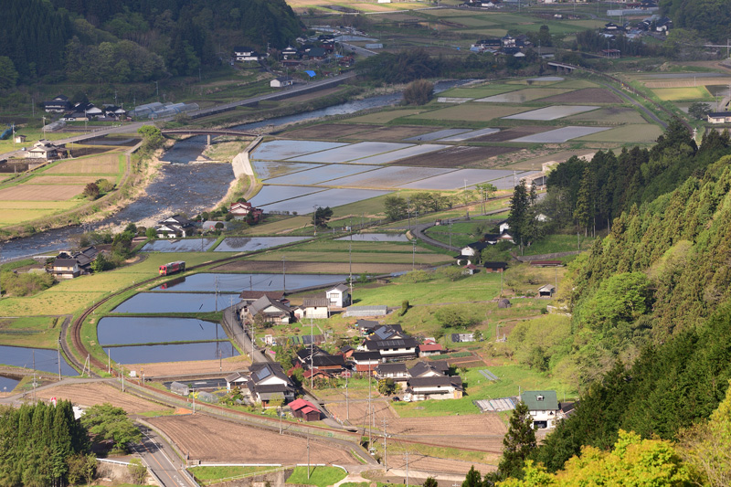r2025.04.29-d6044.jpg