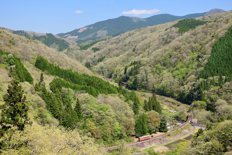 r2025.04.29-d6114.jpg