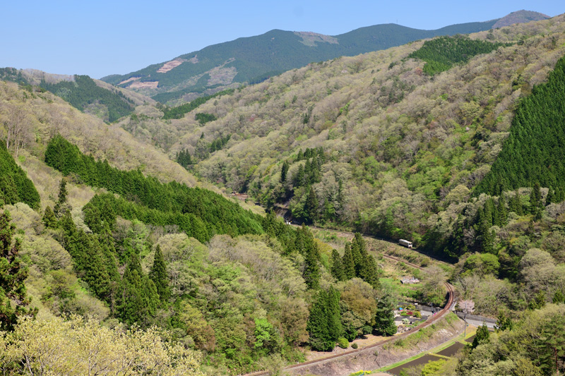 r2025.04.29-d6146.jpg