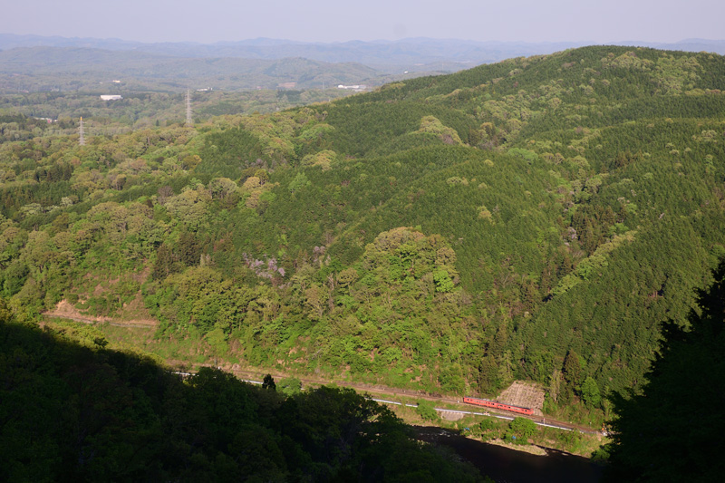 r2025.04.29-d6199.jpg